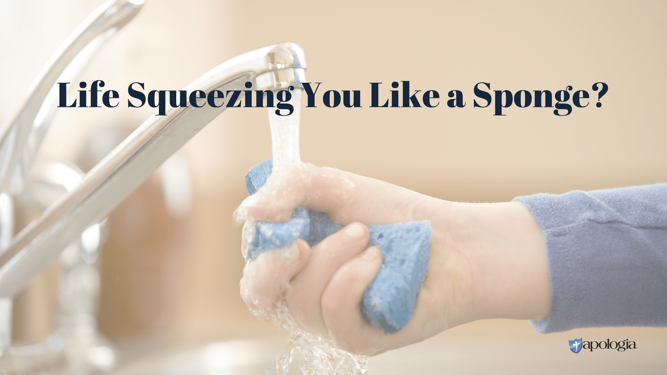 Life Squeezing You Like a Sponge?