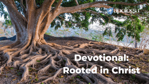 Devotional: Rooted in Christ