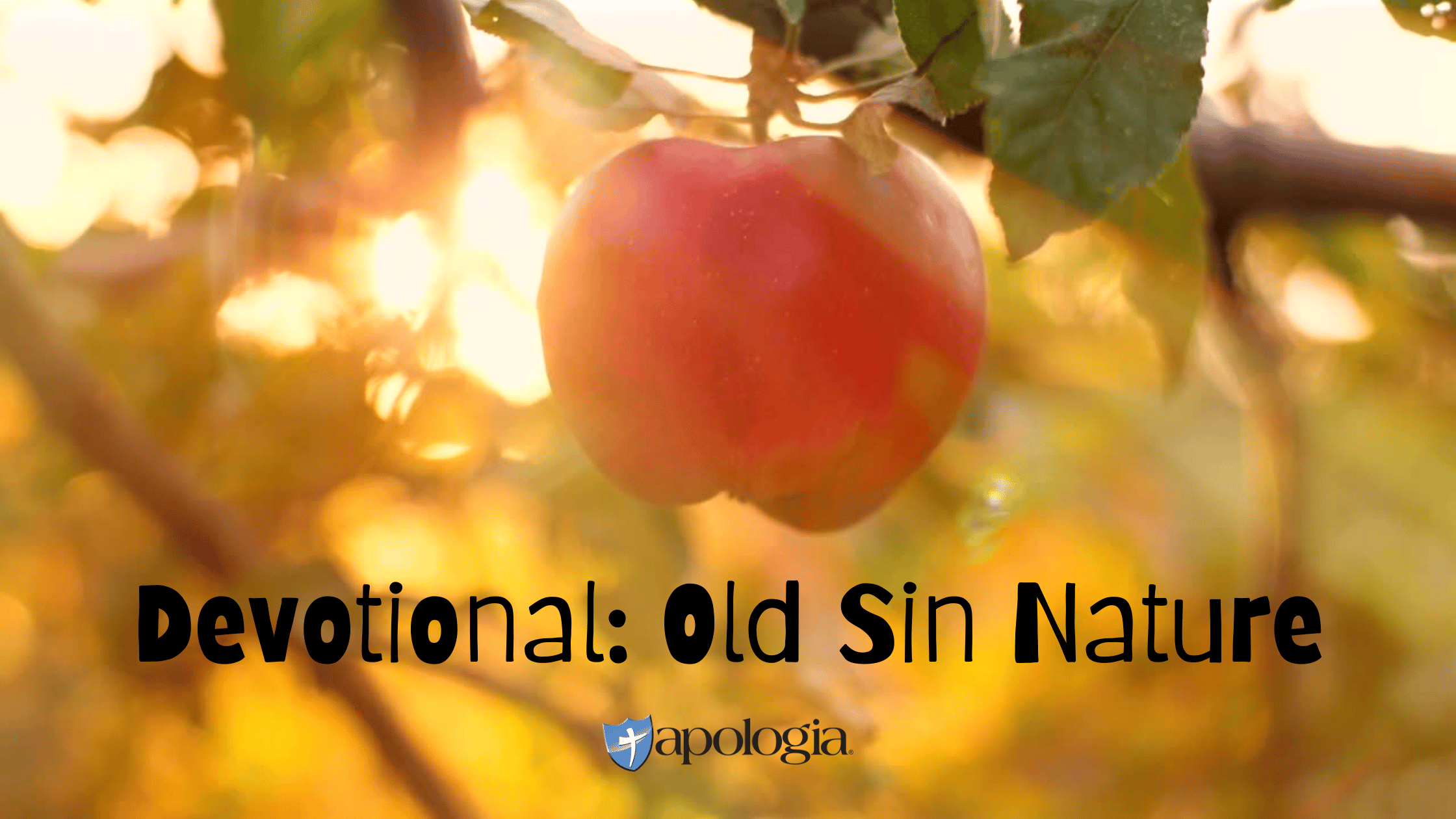 Devotional: Old Sin Nature