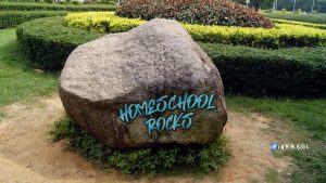 Homeschool Rocks blog Post by Davis Carman