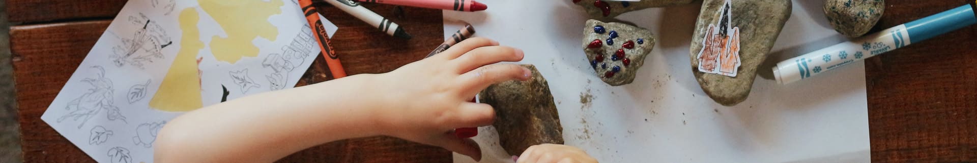 Free Homeschool Resources at Apologia Homeschool