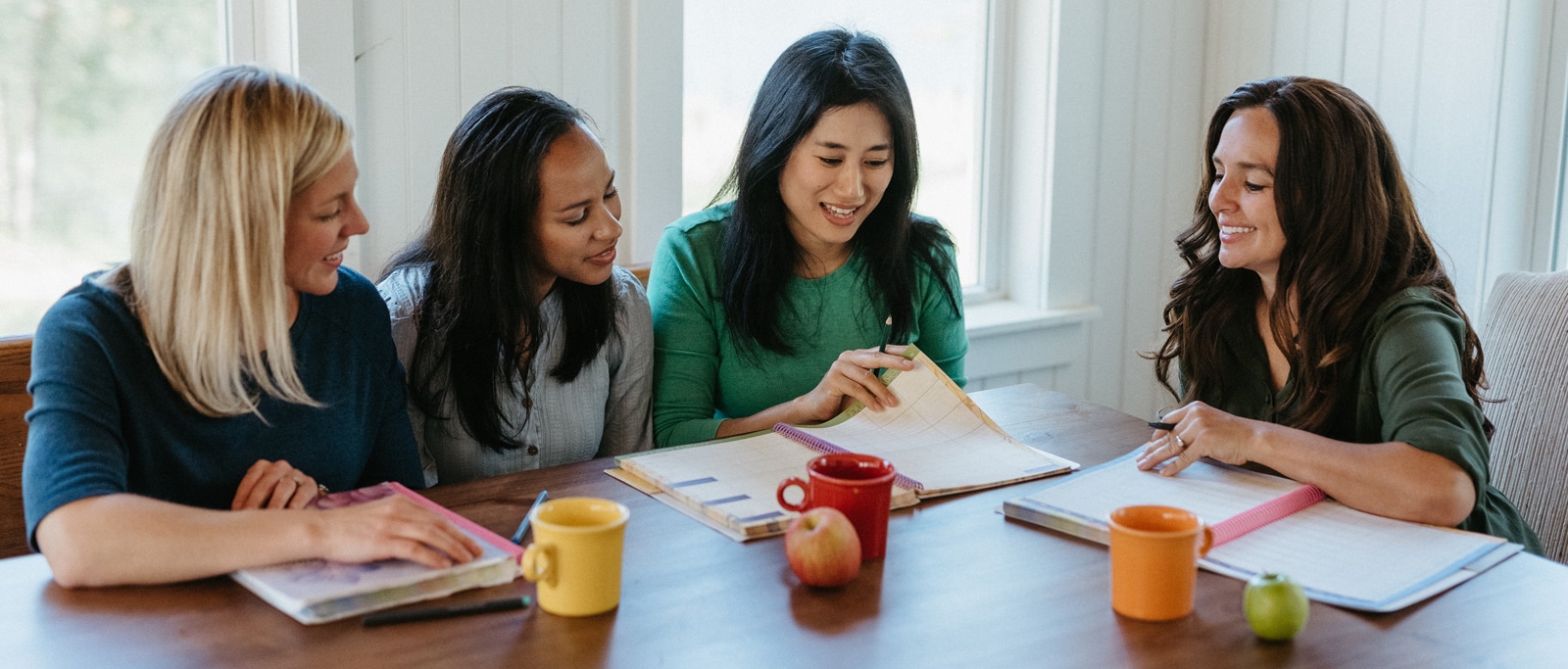 Homeschool co-op resources from Apologia