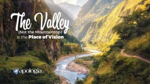 The Valley (Not the Mountaintop) is the Place of Vision by Davis Carman