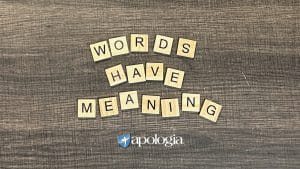 Words Have Meaning Blog Post by Davis Carman