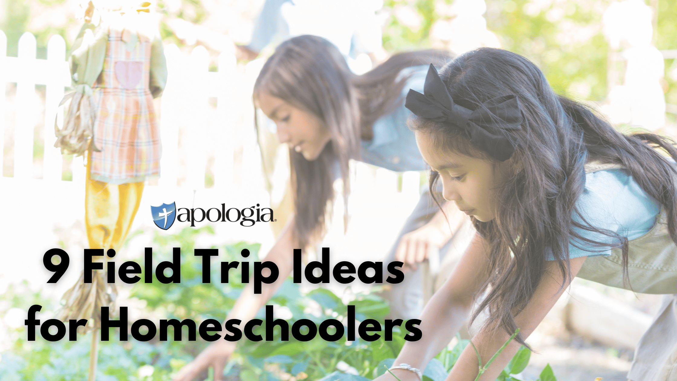 9 Homeschool Field Trip Ideas