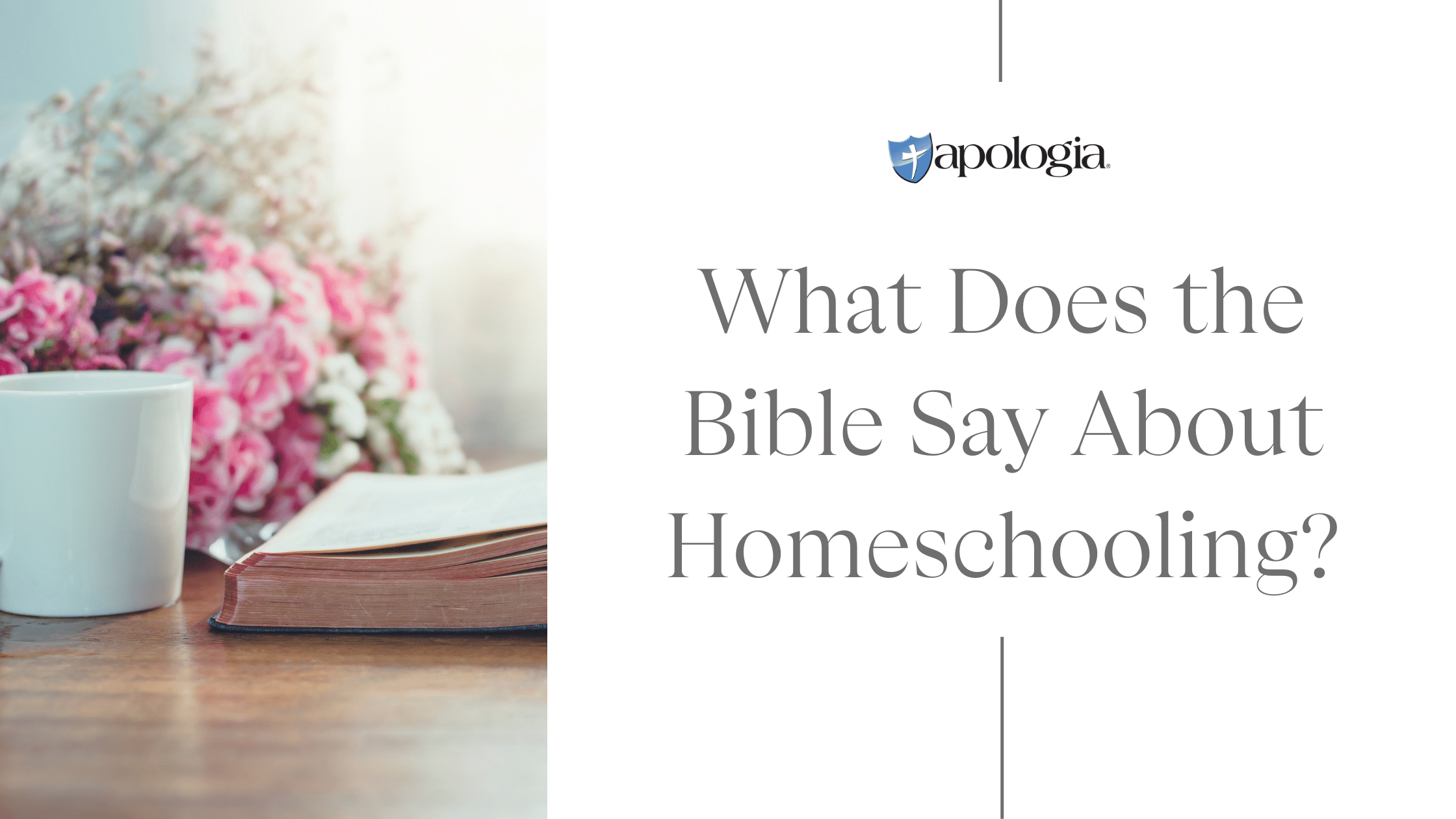 What Does the Bible Say About Homeschooling?