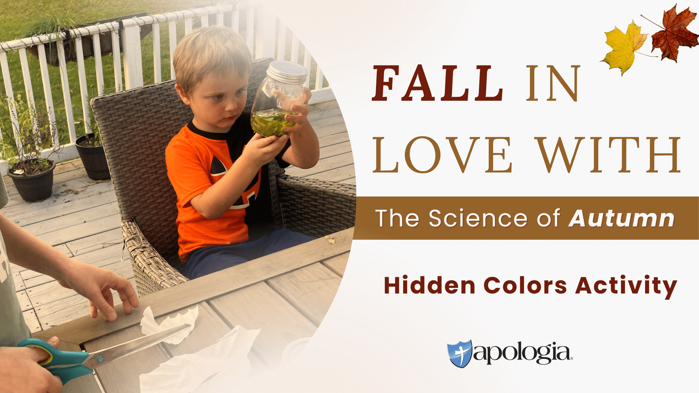 Hidden Colors Activity