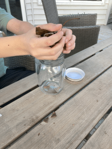 Crumble up leaves into jar in this hidden colors activity