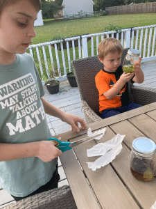 Cutting coffee filters into strips