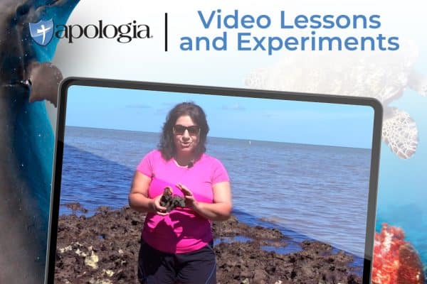 Marine Biology Video Lessons and Experiments