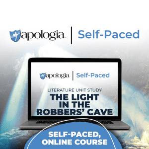 The Light in the Robbers Cave Self-Paced course product image