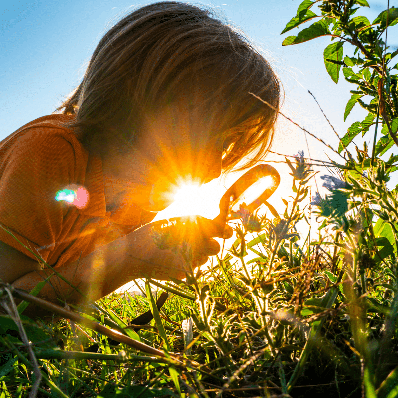 Homeschool boy looking at plants with a magnifying glass