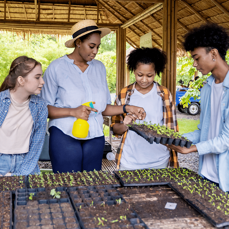 Homeschool co-op students learning botany together