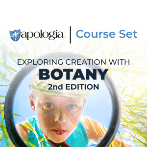 As your student works through this botany course set, they will get an overview of botany and dive deeper into plant anatomy and classification.