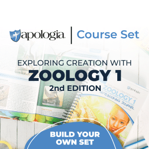 Zoo 1 Flying Creatures Build Your Own Set product image