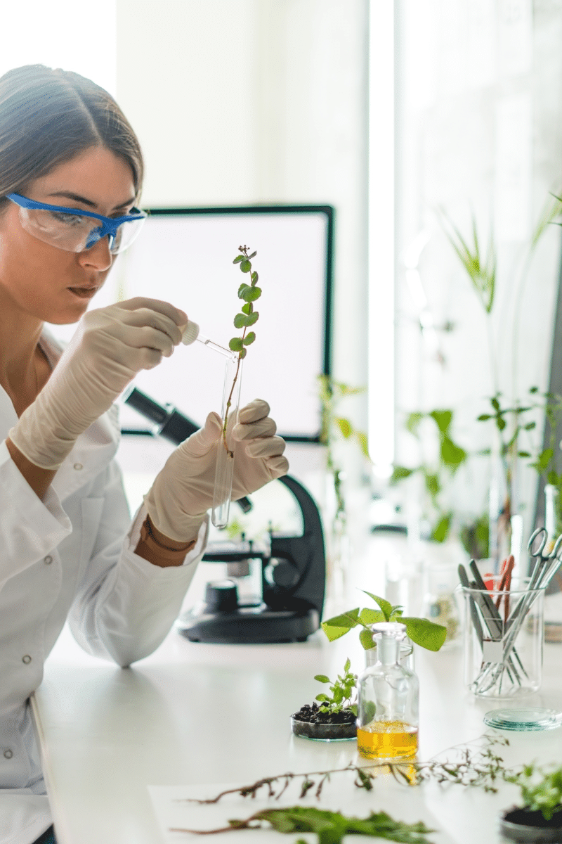 scientist doing an experiment on plants