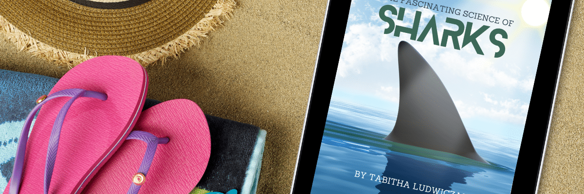 The Fascinating Science of Sharks ebook at beach on sand with flipflops and a sun hat
